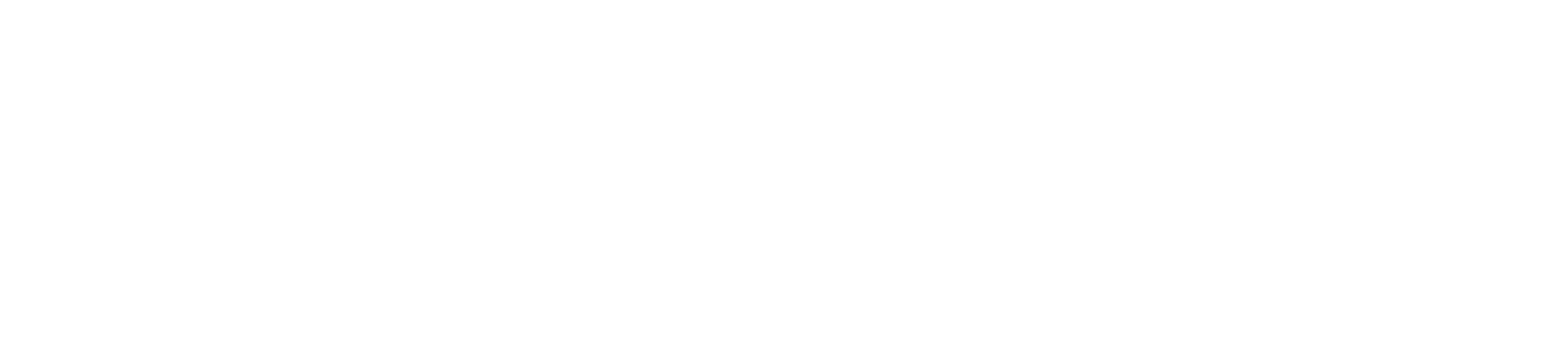 IdentityIQ