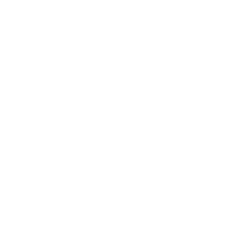Stevie Award 2022
