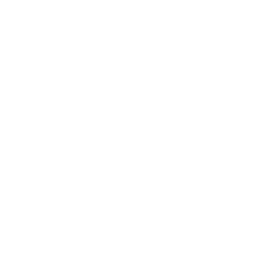 icon of paper with data on it