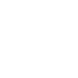 icon of computer with eyeball on it