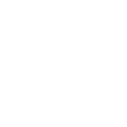 icon of laptop with skull on it